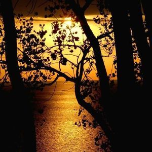 Meet your Posher, Danyel